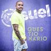 Questionário - Suel