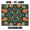 Colourblind - Seeb&St. Lundi