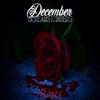 Roses - December Screams Embers