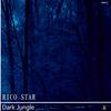 Dark Jungle (Original Mix) - Rico Star