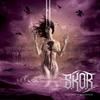 Wasting Thoughts - Skor