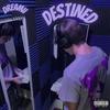 Destined (Explicit) - Dreamii