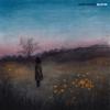 Medicine (feat. Shadan) (Explicit) - Amir Kasaei&Shadan