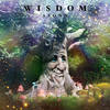 Wisdom - Asonn