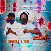 Covid-19 (feat. Troy) (Explicit) - Stammer.G&Troy