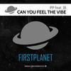 Can You Feel the Vibe - PP&JB