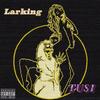 TUSI - Larking