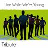 Live While We're Young (One Direction Instrumental Tribute) - The Dream Team