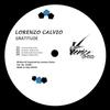 My Shield (Audio Instinct Remix) - Lorenzo Calvio