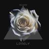 Lonely - Roamy