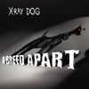 The Journey - X-Ray Dog