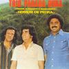 Rei Da Engenharia - Trio Parada Dura