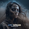 Not Afraid - Alexion&ALVES&Jack Burrows&Victor Alves