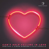 Can't Help Falling In Love - Semitoo&Simon Riemann&Flip Capella