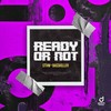 Ready or Not - STVW&Basskiller