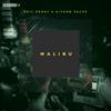 Malibu - Eric Deray&Aivann Sachs&Ivan Saks&Yevhenii Lymonchenko