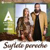 Suflete pereche - Andreea Balan&Cortes&Cosmin Dobrescu&Ionuț Tănase&Nasty&Adi Cristescu