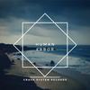 Human error - WOLV
