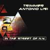 In the Street of N.Y. (Extendet Mix) - Trimmer&Antonio Lisi