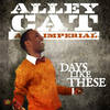 Days Like These - Alley Cat
