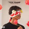 Teri Yaad (feat. QM) (Explicit) - Sed Affan&QM