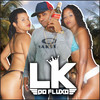 Grau de Meiota - LK do Fluxo