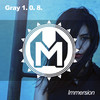 Immersion (Original Mix) - Gray 1. 0. 8.