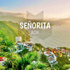 Señorita (Explicit) - ADK