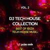 Waves of Zara (Tribe Dark Mix) - 2Black