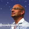 Auf Wiederseh'n, Ciao, Goodbye (Soft - Mix) - Andre Borell