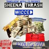 Kung Fu(feat. Wicced) (Explicit) - SHEENA THRASH&Wicced