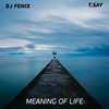 Meaning of Life(feat. T.Say) (Radio Dub Mix) - DJ Fenix&T.Say