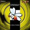 A Soul Thang (Original Mix) - Stefan F