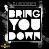 Bring You Down - DJ Rooster