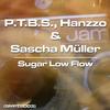 Sugar Low Flow (Instrumental) - P.T.B.S.&Hanzzo