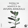 Avumil'Amazulu (Original Mix) - Shona SA&Nomvula SA