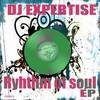Ryhthm Of Soul (Original Mix) - DJ Expertise