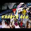 MOTORA - Kradys RCD