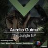 The Jungle (Gabriel Moraes Remix) - Aurelio Guima&Gabriel Moraes