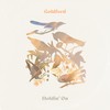 Holdin' On - Goldford