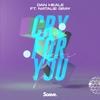 Cry For You(feat. Natalie Gray) - Dan Heale&Anoo Bhagavan&Jonas Von Der Burg&Niclas Von Der Burg&Natalie Gray