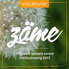 Zäme (Offizieller aphasie suisse Jubiläumssong 2023) - Vocabular