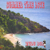Summer Time Love - Zulu Bob