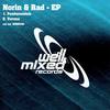 Pandemonium (Original Mix) - Norin&Rad