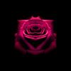 The Voice of Love - the Mystic