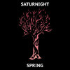 Spring (Original Mix) - Saturnight