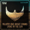 Lying In The Sun - Palastic&Bright Sparks
