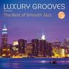 Non Stop Lounge Pleaser Mix - Luxury Grooves