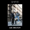 Shine(feat. Irina Flow) - Zadi&Irina Flow