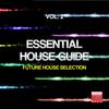 I Hate You (feat. Steph B.) - Alex Raimondi&Frystal DJ